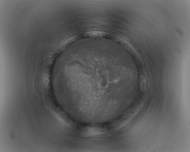 X0000114110259200910191708