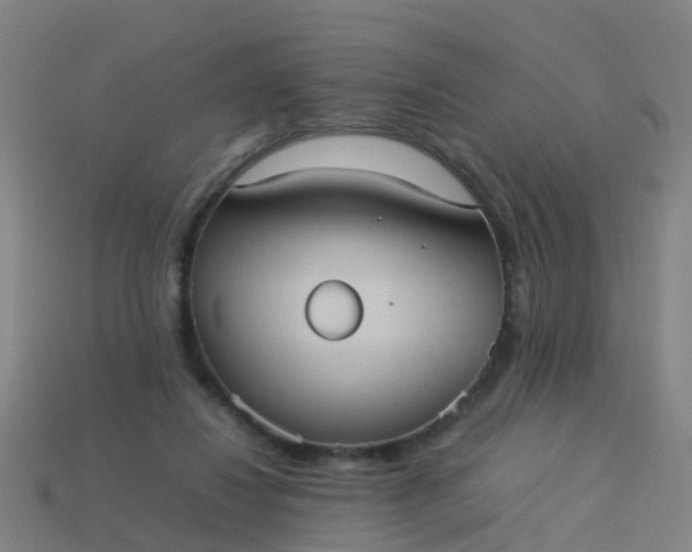 X0000114110260200910191708