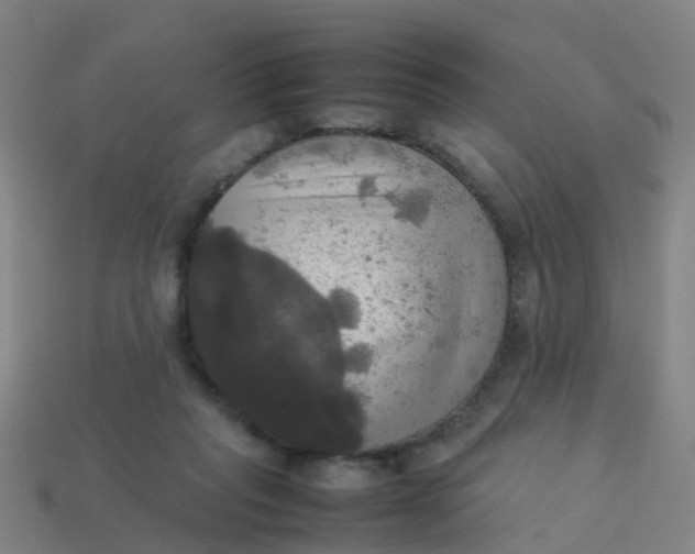 X0000114110261200910191708