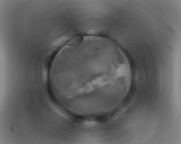 X0000114110262200910191708