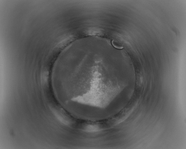 X0000114110263200910191708