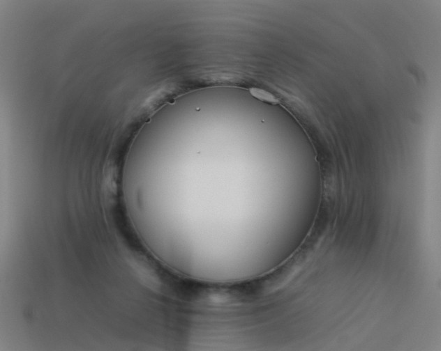 X0000114110264200910191708