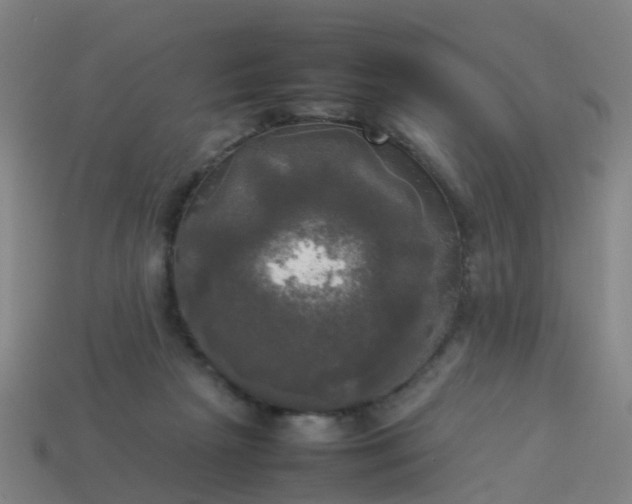 X0000114110265200910191708