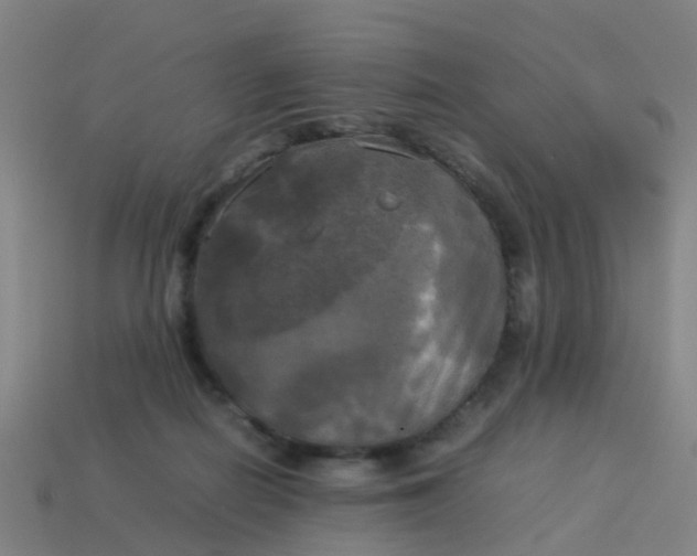 X0000114110266200910191709