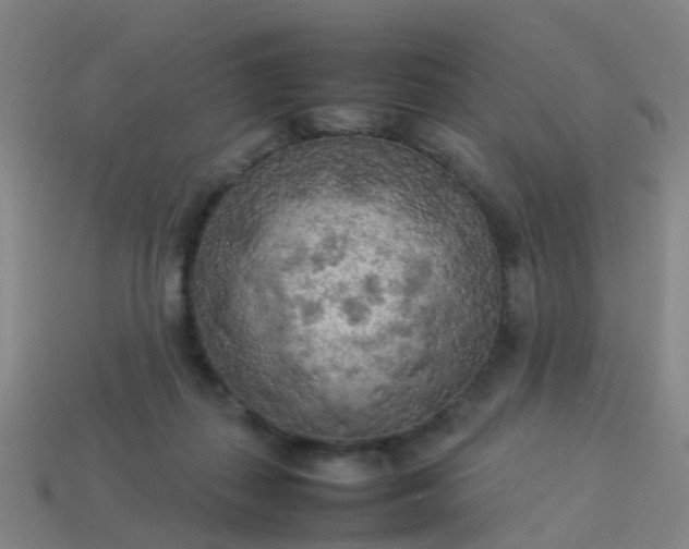 X0000114110267200910191709