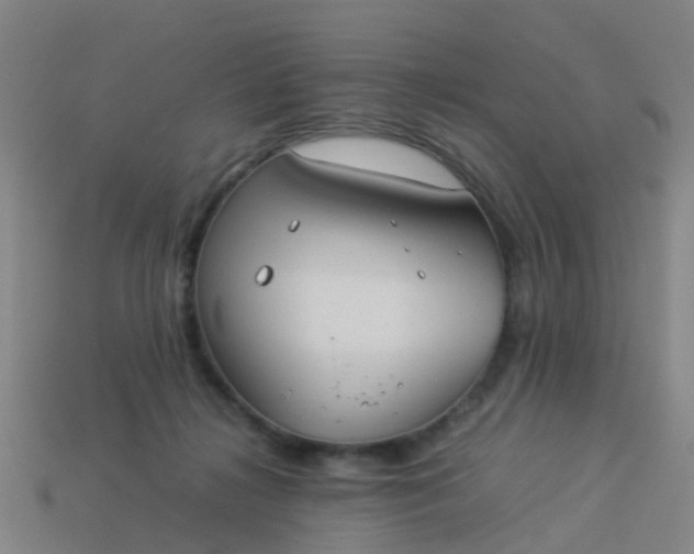 X0000114110268200910191709