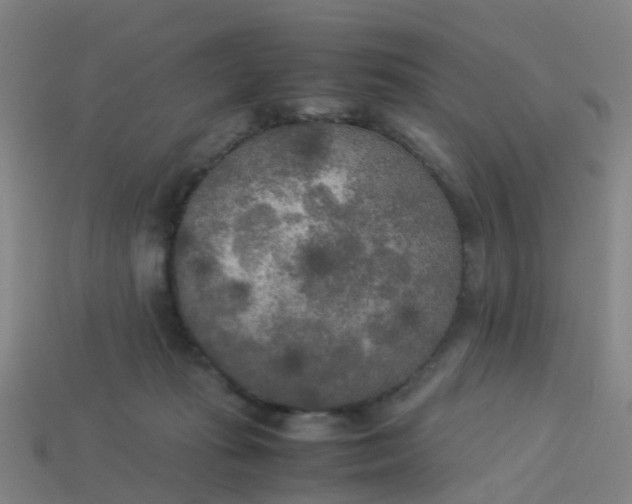 X0000114110269200910191709