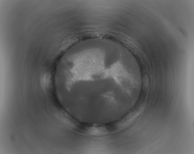 X0000114110270200910191709