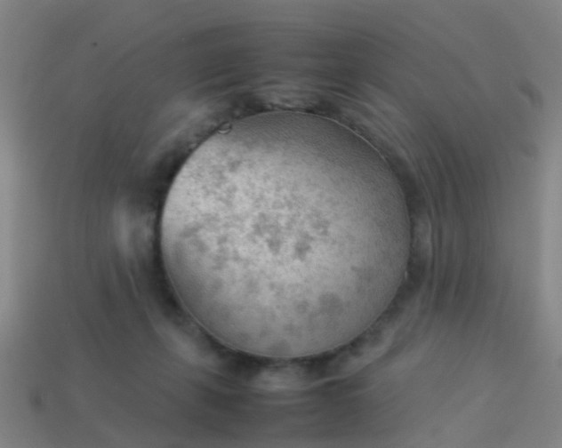 X0000114110271200910191709