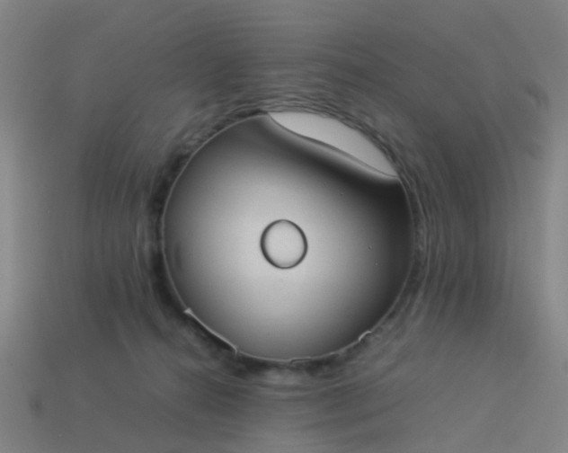 X0000114110272200910191709