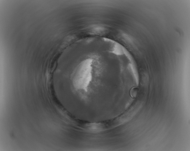 X0000114110273200910191709