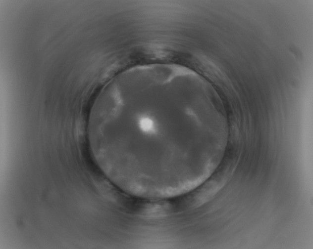 X0000114110274200910191709