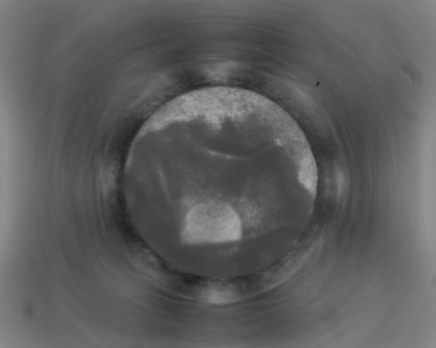 X0000114110275200910191709