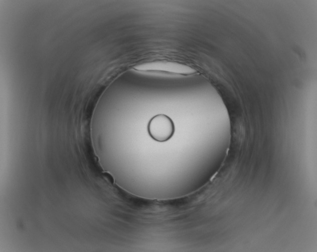 X0000114110276200910191709