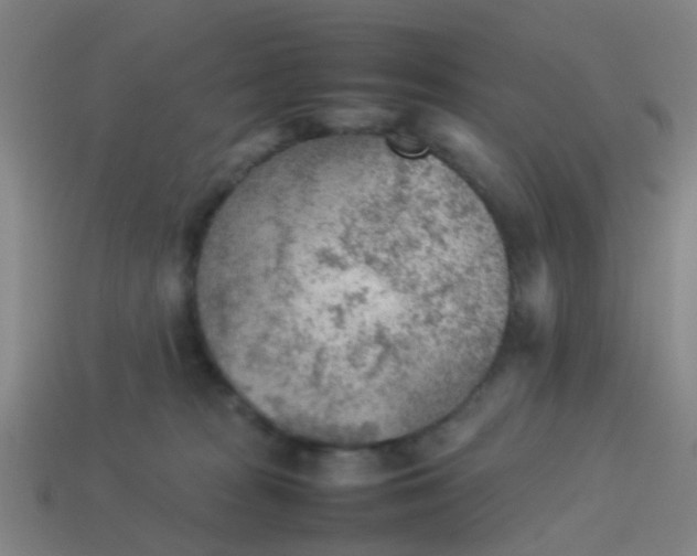 X0000114110277200910191709