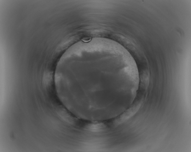 X0000114110278200910191709