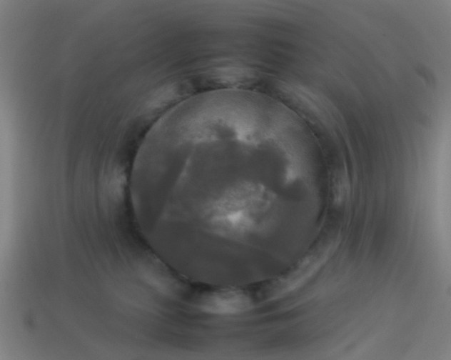 X0000114110279200910191709