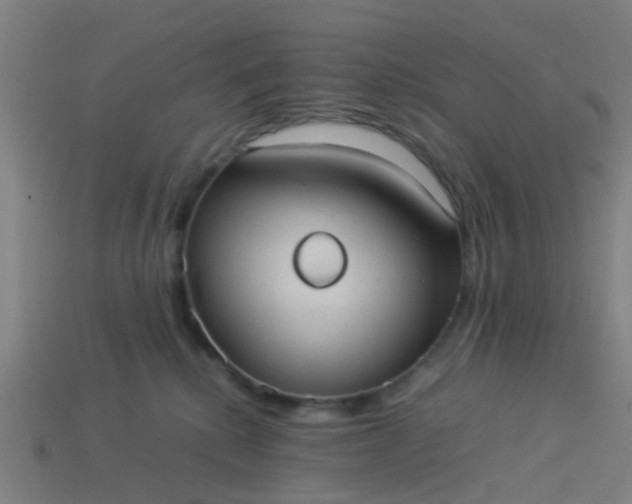 X0000114110280200910191709