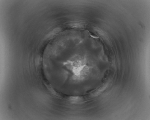 X0000114110281200910191709