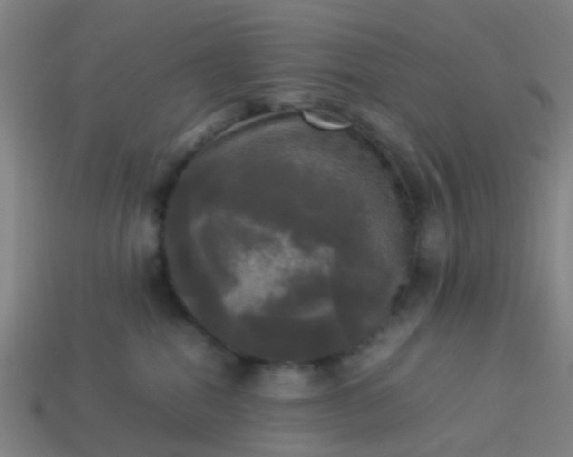 X0000114110282200910191709