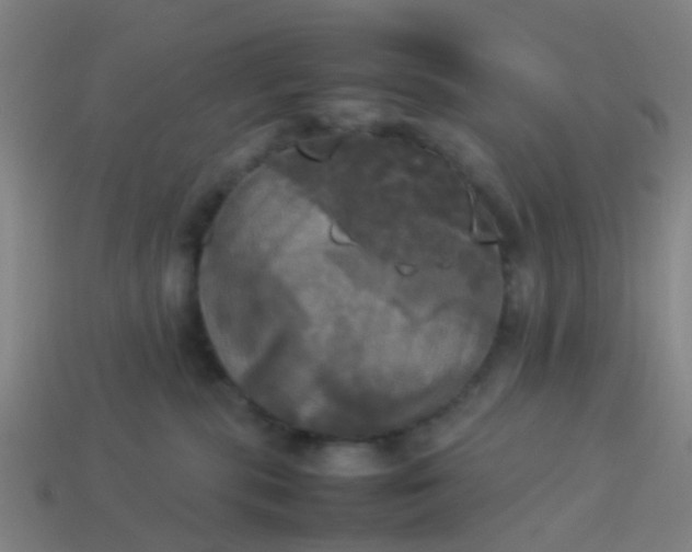 X0000114110283200910191709