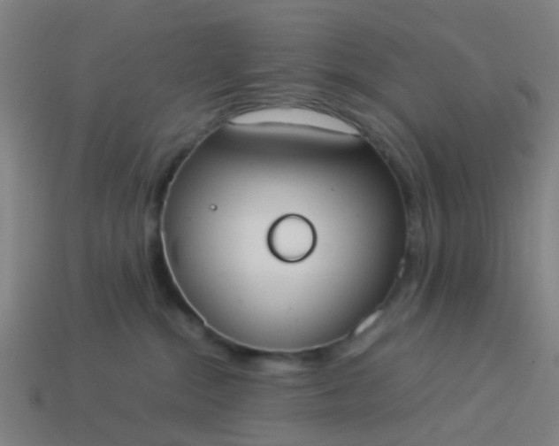 X0000114110284200910191709