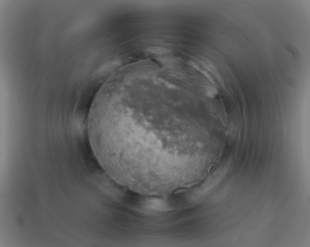 X0000114110285200910191709