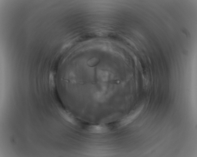 X0000114110286200910191709