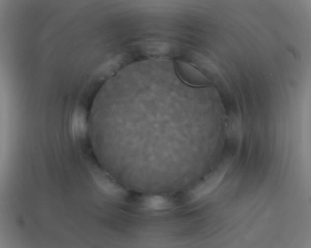 X0000114110287200910191709