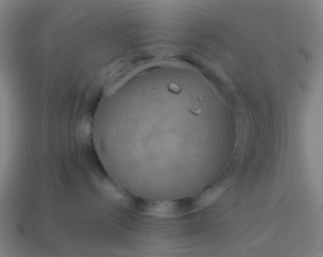 X0000114110288200910191709