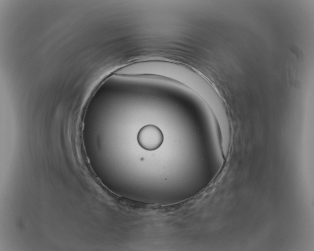 X0000114110289200910191708