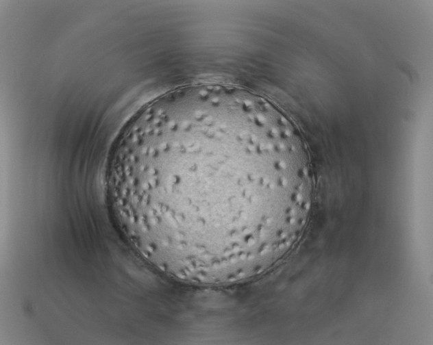 X0000114110290200910191708