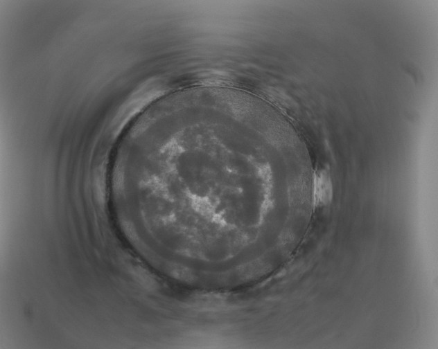 X0000114110291200910191708