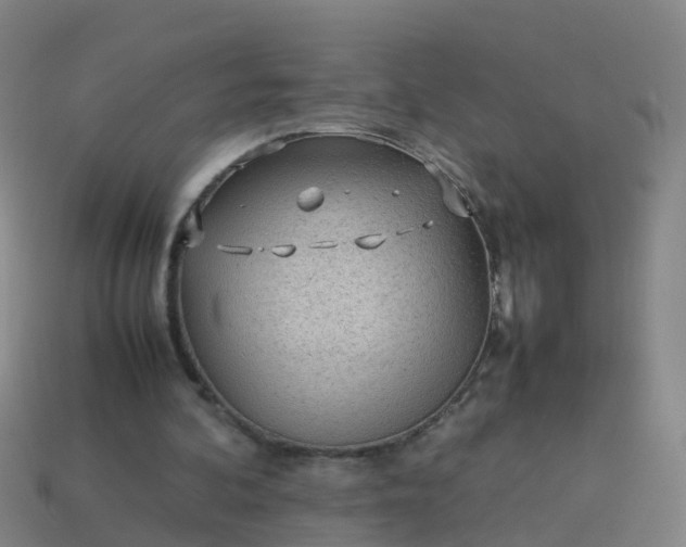 X0000114110292200910191708