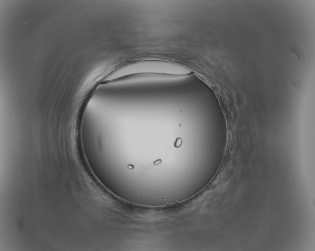 X0000114110293200910191708