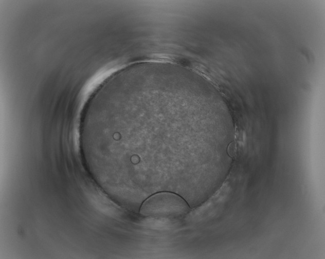 X0000114110294200910191708