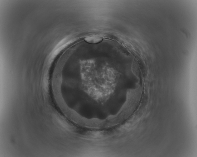 X0000114110295200910191708