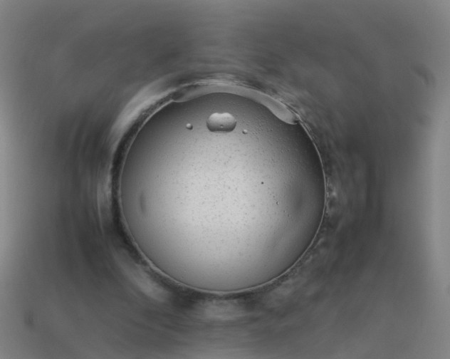 X0000114110296200910191708