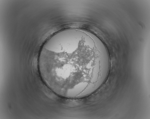 X0000114110297200910191708