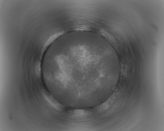 X0000114110298200910191708