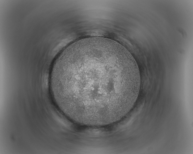 X0000114110299200910191708