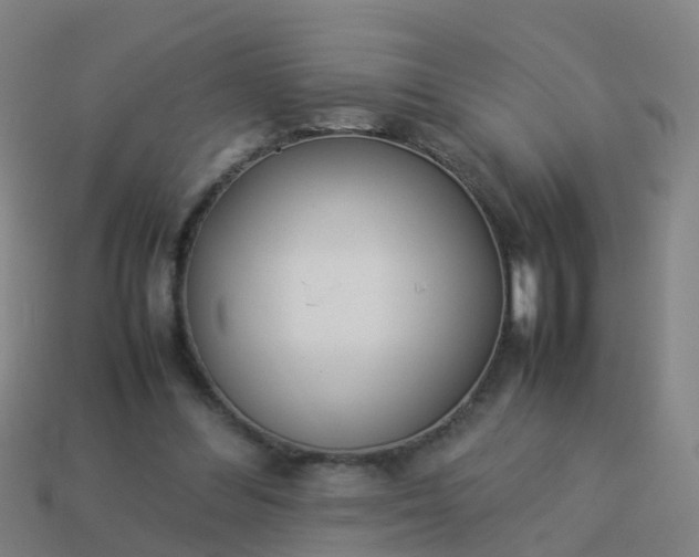 X0000114110300200910191708