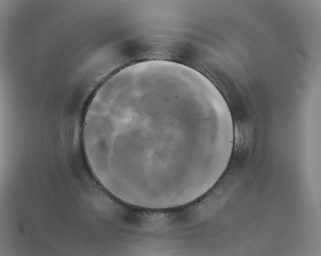 X0000114110301200910191708