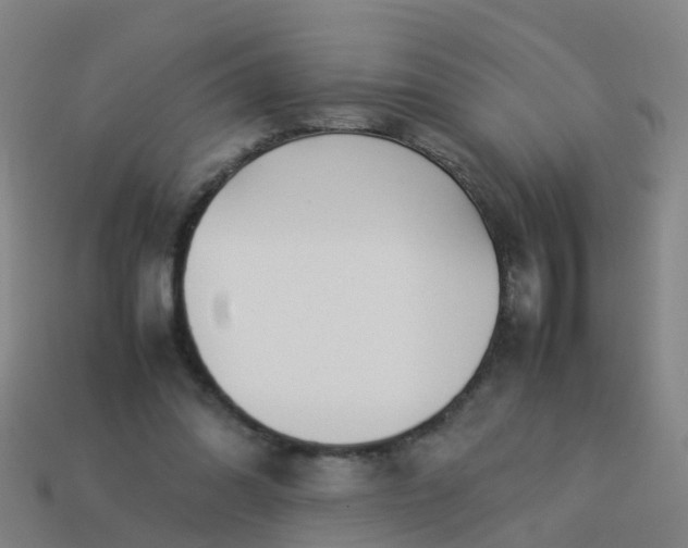 X0000114110302200910191708