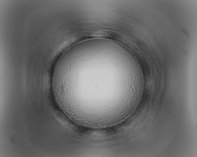 X0000114110303200910191708