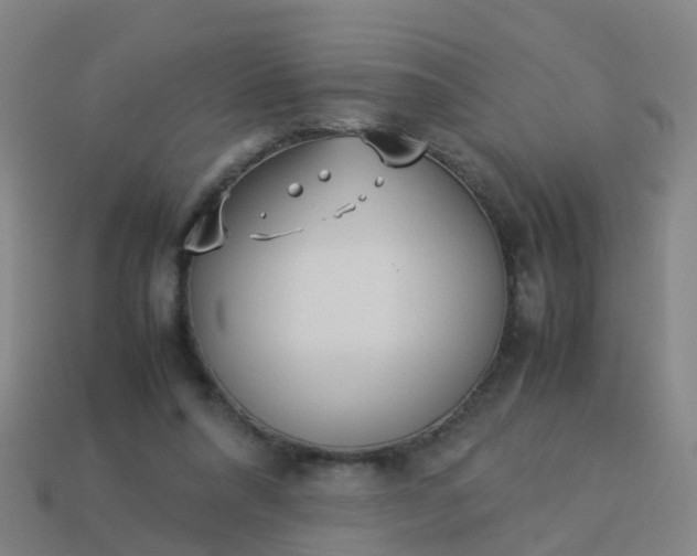 X0000114110304200910191708