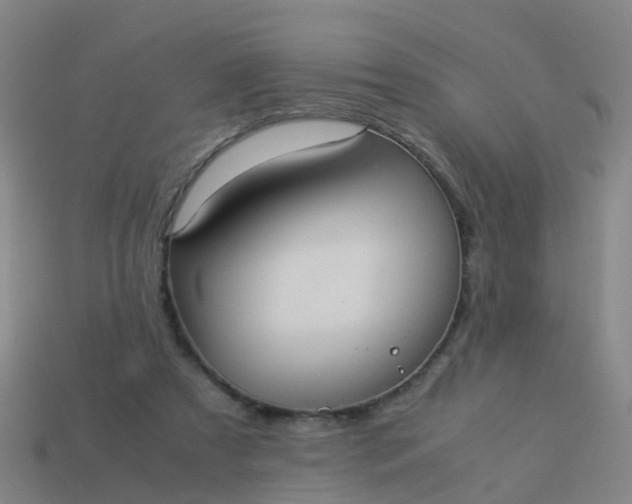 X0000114110305200910191708