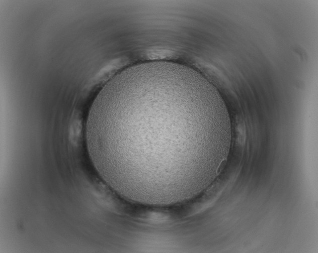 X0000114110308200910191708