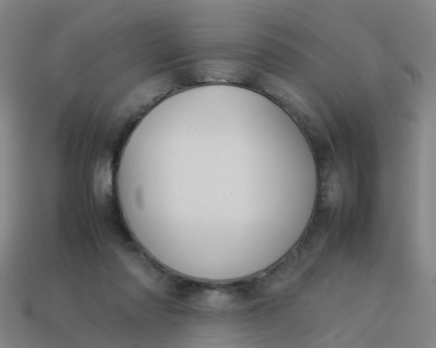 X0000114110310200910191708