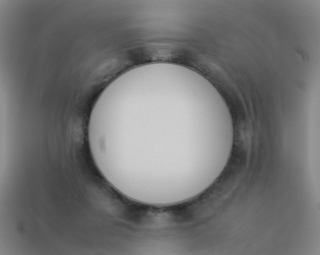 X0000114110311200910191708